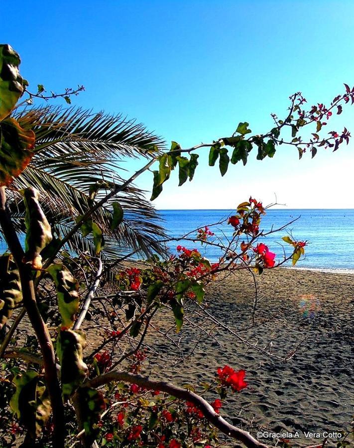 La Palmera. El Amanecer En El Parque Natural Agua Amarga  Zewnętrze zdjęcie